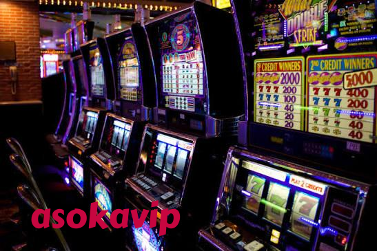 asokavip slide 1