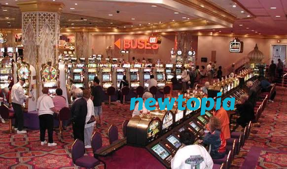 newtopia Live Sportsbook Markets at Your Fingertips